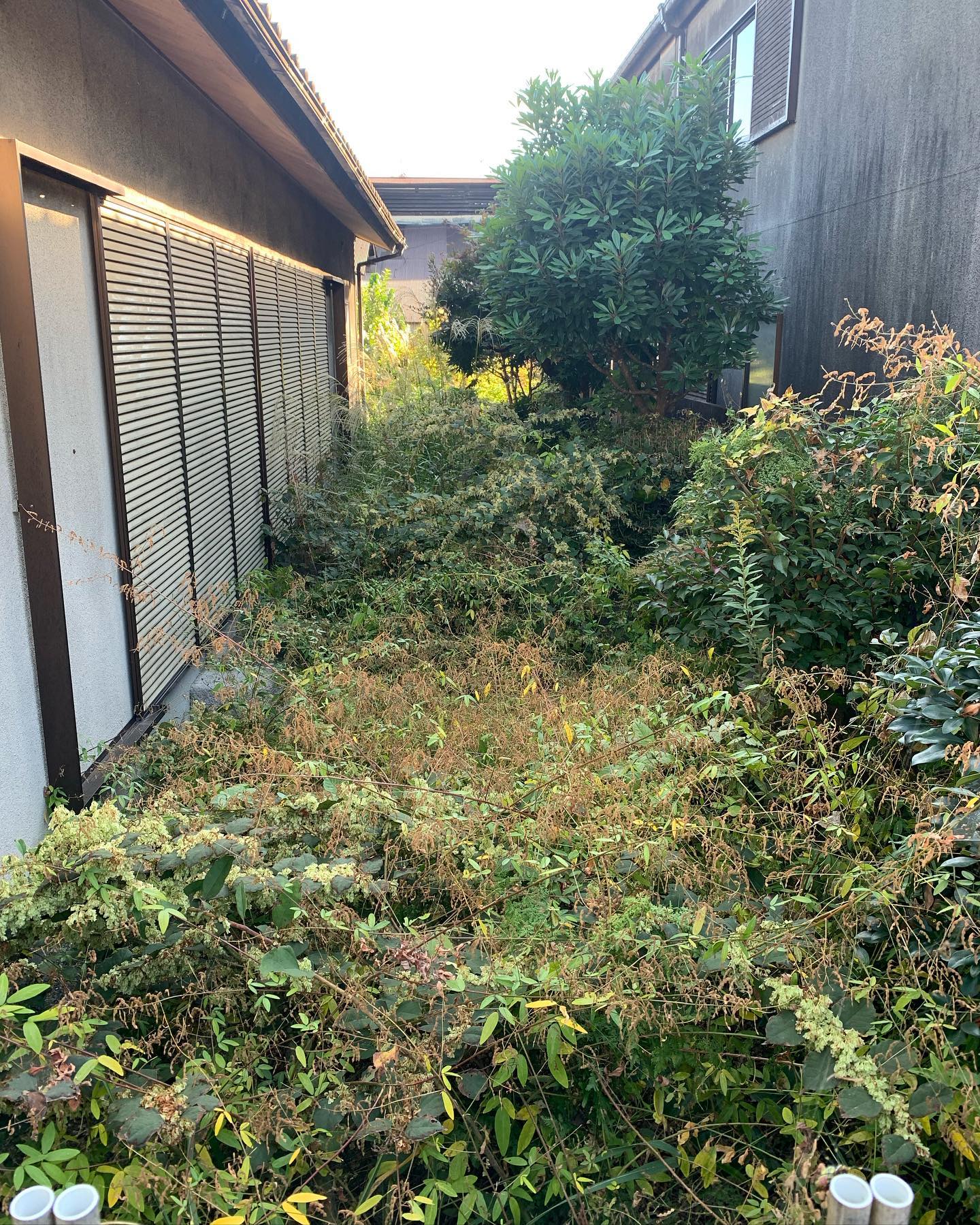 資格取得制度をご用意 | 兵庫県高砂市で土木作業員の求人なら大誠造園土木