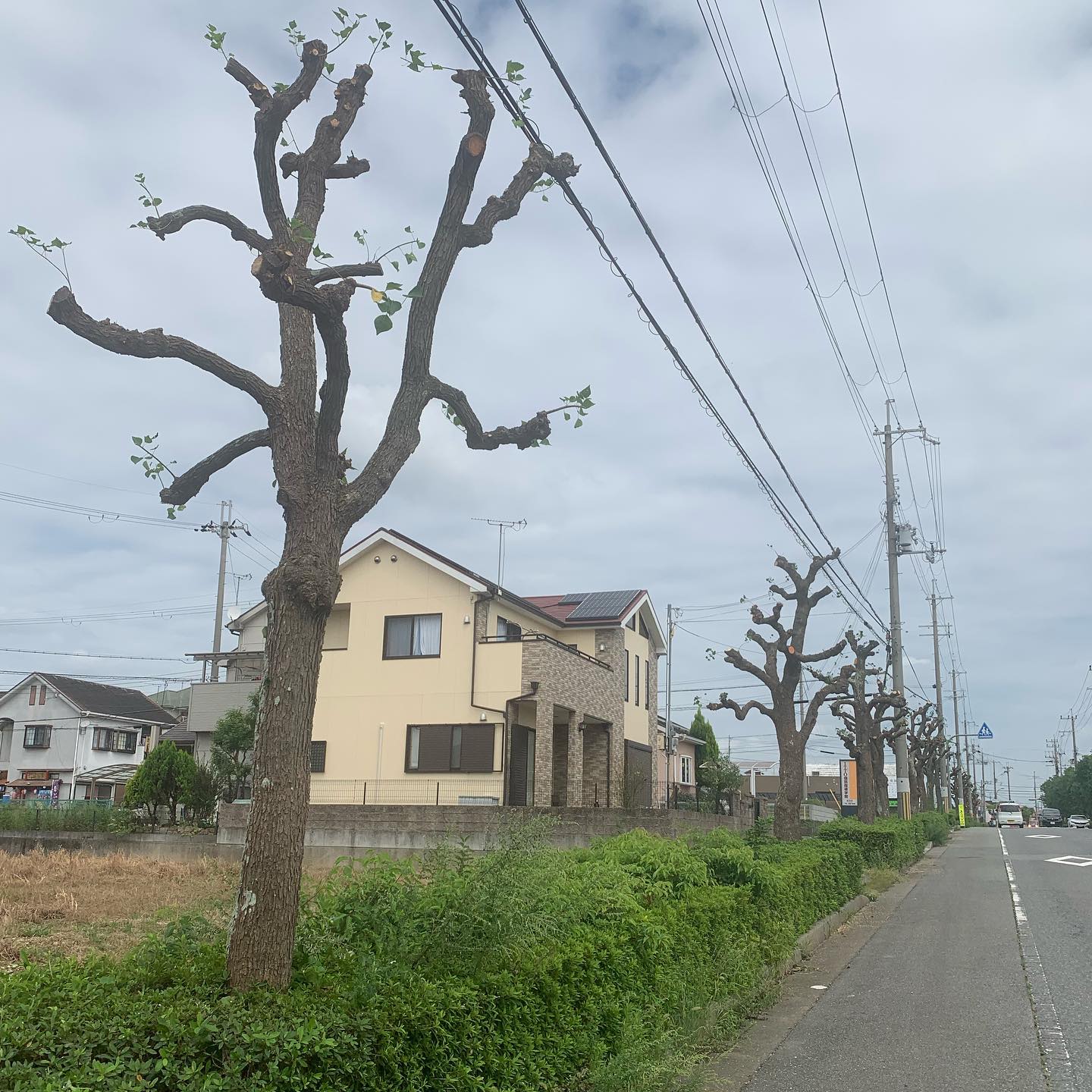 土木作業員